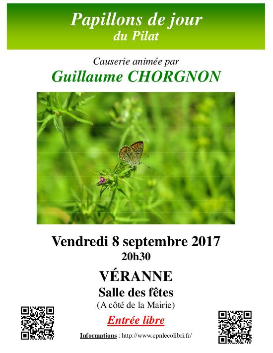 Affiche : papillons de jour du Pilat