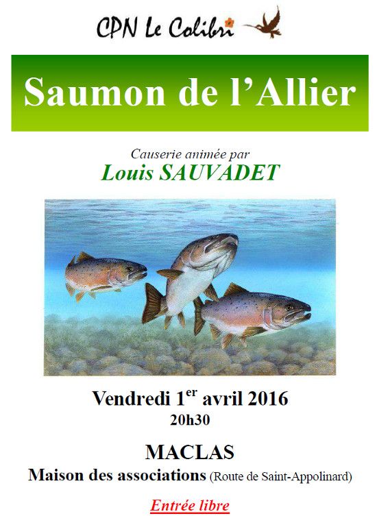 Affiche : le saumon de l'Allier